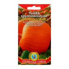 Large -fruited pumpkin seeds 