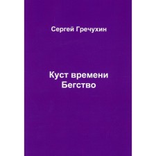 Куст времени. Бегство. Гречухин С.А.