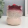 Growing gift Eco -Zhizhivchik "Hamstone Novel" MIX