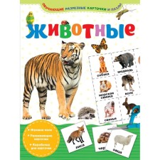 Animals