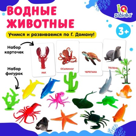 Developing set with “water animals” cards, according to the method of Doman