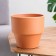 Flower Pot "Yucca" 2.7 l, terracott