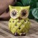 Aroma lamp "Eagle owl" mix 8x6x6 cm