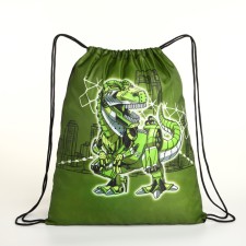 Bag for shoes on the lace, green color