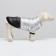 Cosmonaut dog jacket, size 10, black-gold (DS 25, Osh 30, OG 38 cm) 9078285