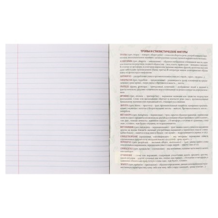 Subject note Calligrata Top "sneakers", 48 sheets in the literature line, with reference material, cardboard cover, glossy lamination, offset unit-3