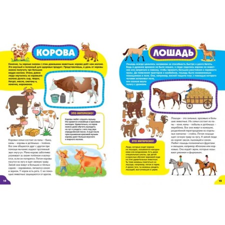 Animals for kids-3