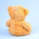 Napchik children with a soft toy "Bear"