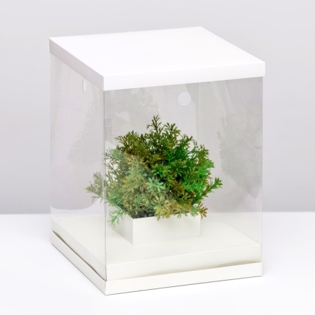 Box for flowers with a vase and PVC windows, folding, 23 x 30 x 23 cm, white
