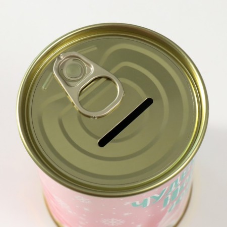 Pigging bank Metal "Wonderful New Year"-4
