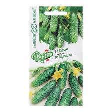 Cucumber seeds 