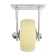 Wheel for transport carts, D = 100, on the site PP coating
