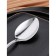 Tablespoon "Berkeley", length 21 cm, thickness 3 mm, silver color