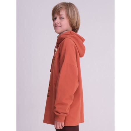 Sweatshirt for boys, height 122 cm, copper color-2