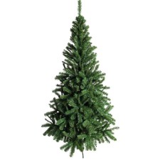 Fir tree 