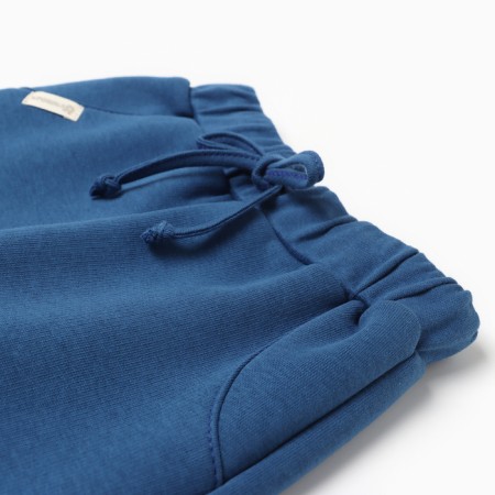 Costume: sweatshirt and pants crumb I am Blueberry p. 92-98, blue-8