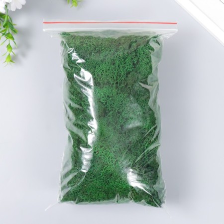 The moss stabilized "green" 500 gr (+-5 gr).-2