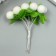 Stamens for flowers "Shaggy Boss White" d = 1.5-2 cm 1 bouquet = 10 pcs 10 cm