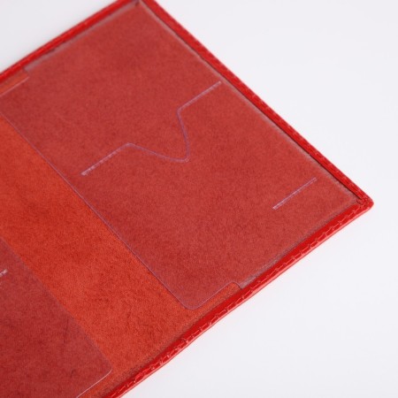 Cover for passport, red color-5