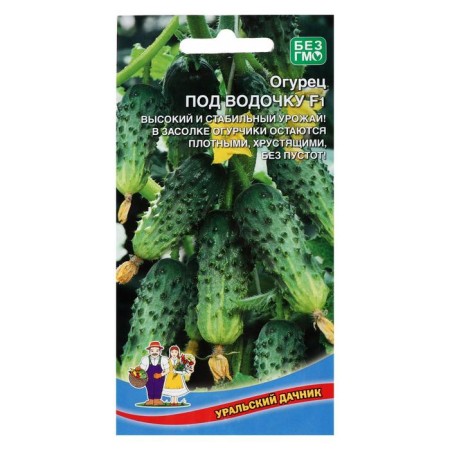 Cucumber seeds "under vodka" f1 mid -season, bee -pissed hybrid, 10 - 12 pcs-2