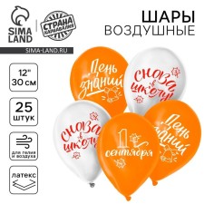 Air ball 12 