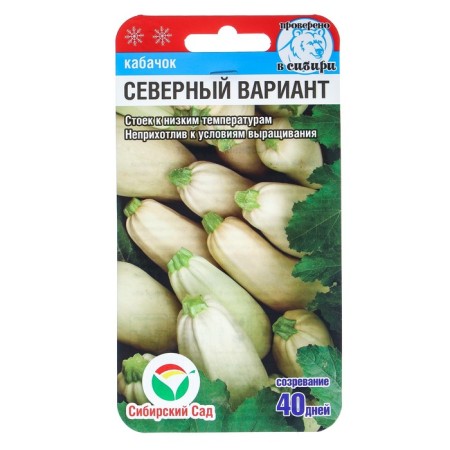 Semen zucchini "Northern version", 5 pcs.