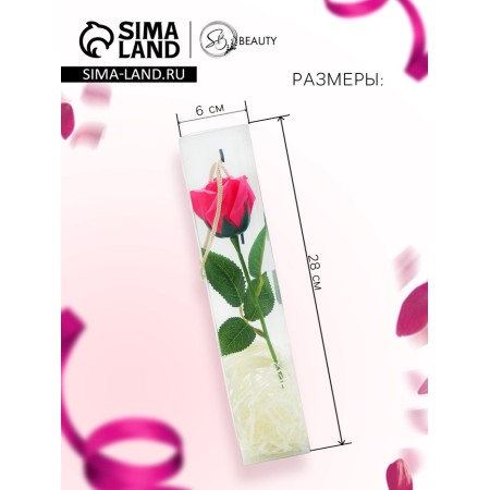 Soap rose fuchsia in a box-1