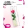 Soap rose fuchsia in a box