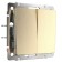 Two-clavy switch WL10-SW-2G, champagne color