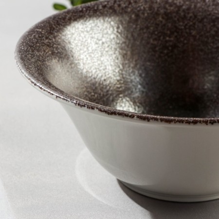 Porcelain bowl lunar, 570 ml, d = 17 cm-2