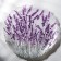 Serving dish "lavender", d = 32 cm
