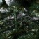 Artificial Christmas tree "Princess" 250 cm