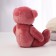 Soft toy "The most beautiful", Bear Mix, 19 cm
