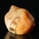 Souvenir "Venya Kitten", 3.5 × 3 cm, mix, selenite