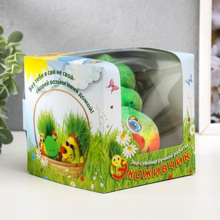 Growing gift Eco -Zenitika "Caterpillar 2" MIX Gift packaging-12