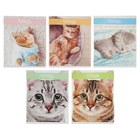 Notebook of 36 sheets in Calligrata “Cat” cage, cover covered paper, block No. 2, whiteness 75% (gray sheets), mix