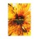 A4 notebook, 96 sheets in the Kaleidoscope cage, covered cardboard, glossy lamination, block 65 g/m2, 3v mix