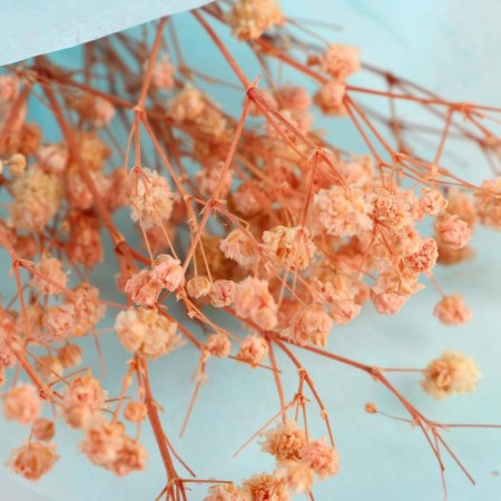 Bouquet of dried flowers "Wonderful Day", 13 × 21 × 5 cm-4