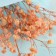 Bouquet of dried flowers "Wonderful Day", 13 × 21 × 5 cm