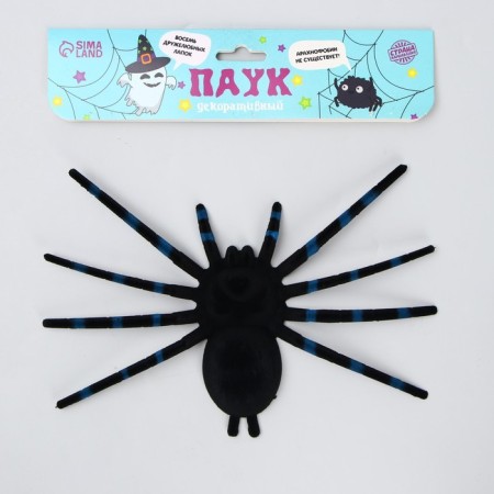 Spider joke, black color-2