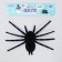 Spider joke, black color