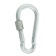 Carabiner Installation.