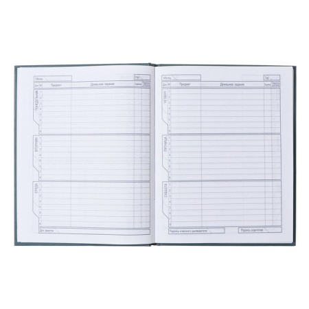 Diary solid cover 1-11 grade 40l Street Style, matte lamination-8