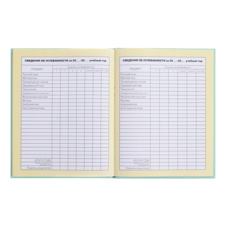 Diary for grades 1-4, solid cover "Girls", matte lamination, selective varnish, block 60 g/m2-11