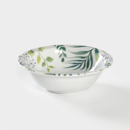 Porcelain salad "Alpina", d = 16 cm, 350 ml