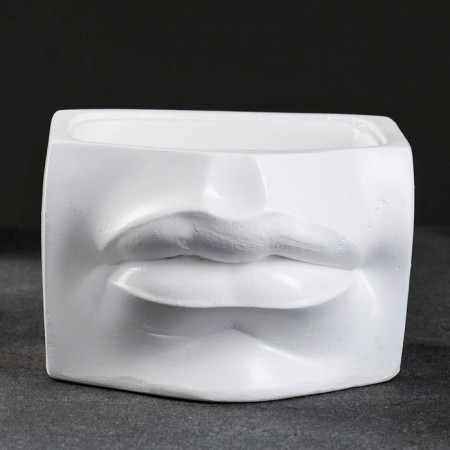 Kashpo - organizer "David's lips" white, 16x11.5x16cm-4