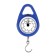 Mechanical bime, up to 5 kg, division price 200 g, blue