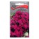 Flower seeds Flox Drummond "Beauty in Raspberry", O 0.1 g.