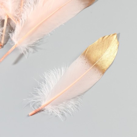A set of goose feathers 15-20 cm, 10 pcs, light pink with gold-2
