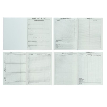 Diary for grades 1-4, Dino in Cosmos, solid cover 7BC, glossy lamination, 48 sheets-2